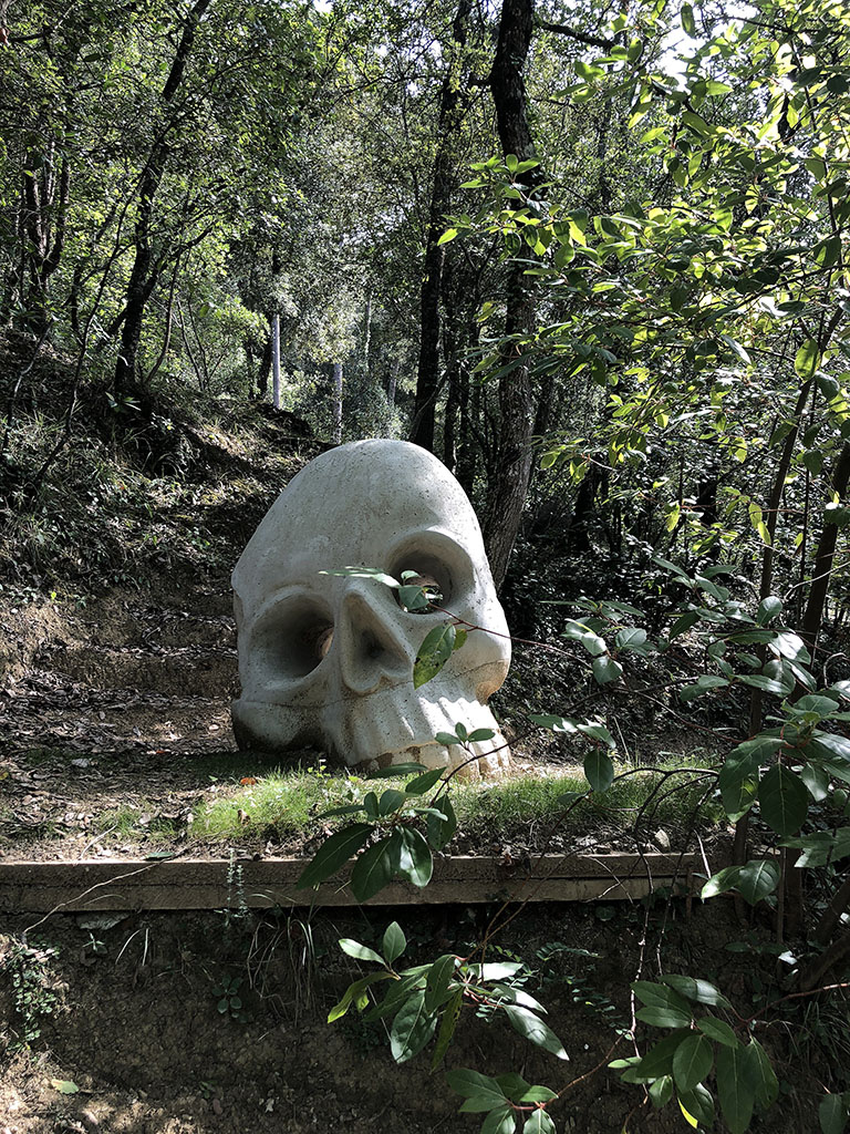 Calabera amb contraposto [1]