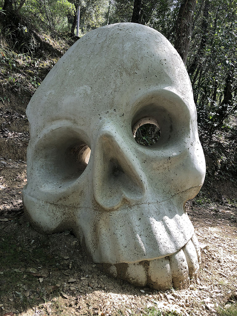 Calabera amb contraposto [2]