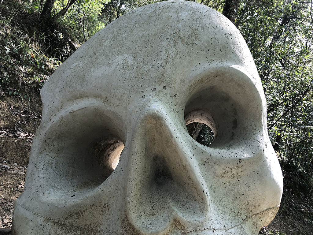 Calabera amb contraposto [3]