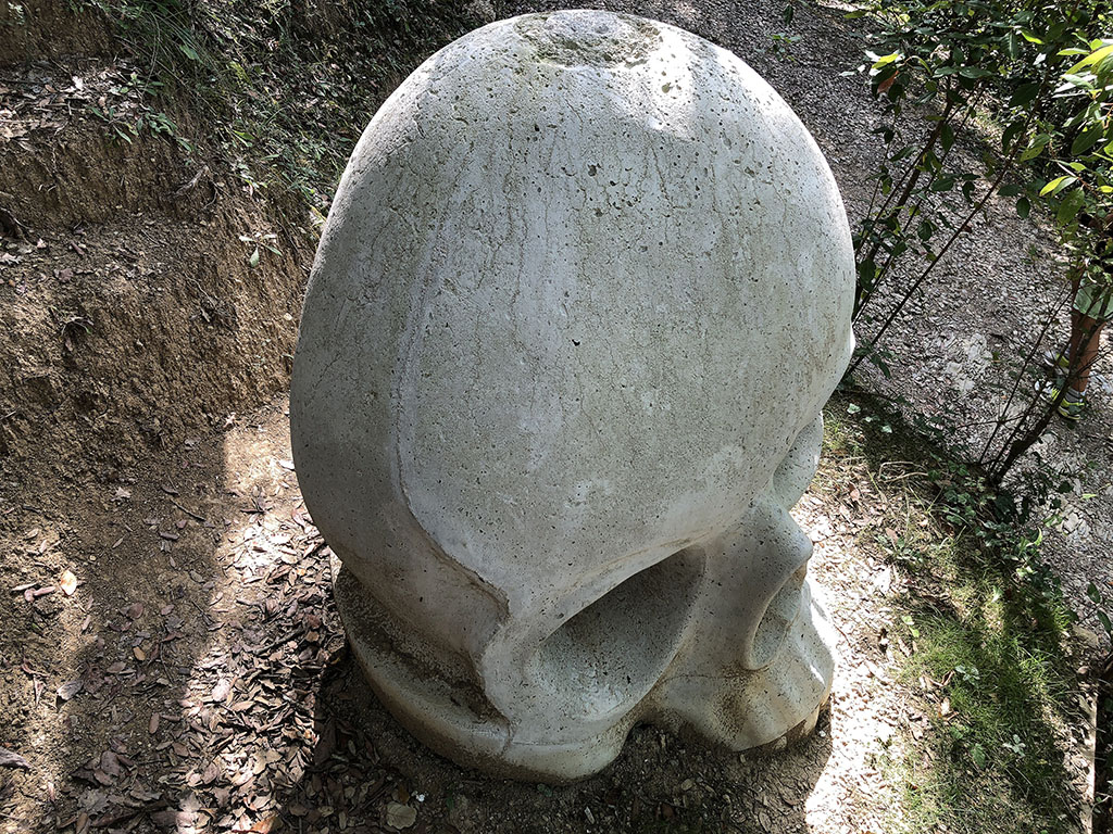 Calabera amb contraposto [6]