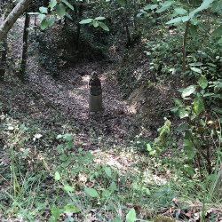 La presó del sexe [5]