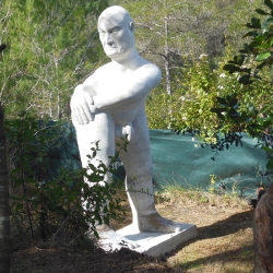 La solitud de l'home [8]