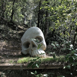 Calabera amb contraposto [1]