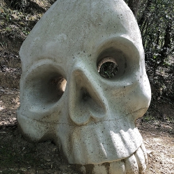 Calabera amb contraposto [2]