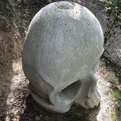 Calabera amb contraposto [6]