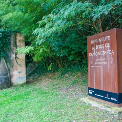 Núpcies perilloses [4]