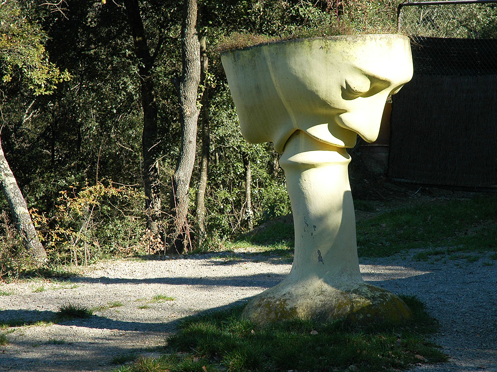 Calze felatori [1]