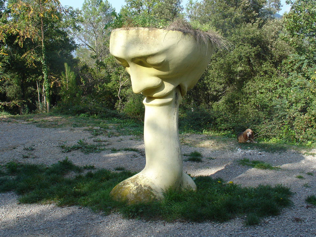 Calze felatori [4]