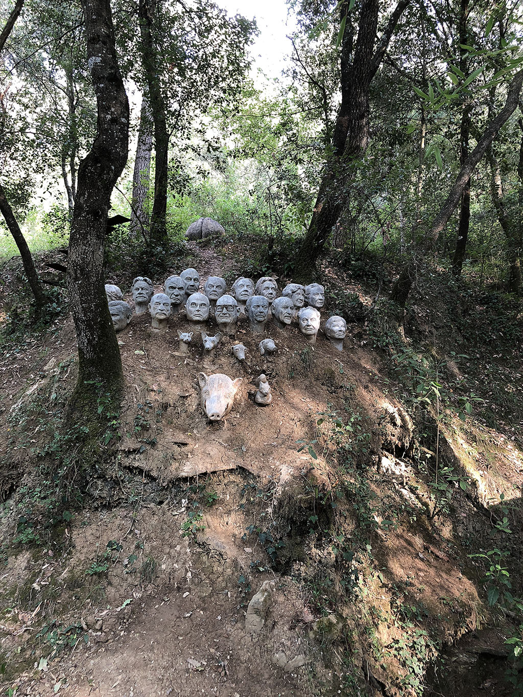 Consell de cent. Col·laboradors del bosc [1]