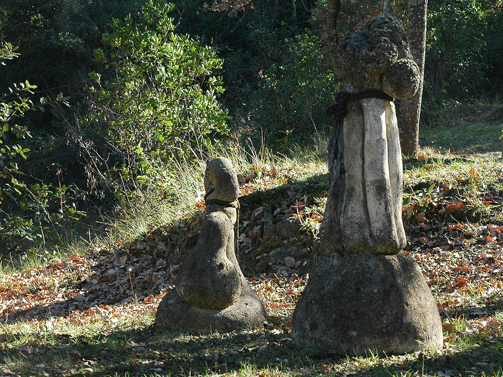 Lligament vegetal & Lligada [1]