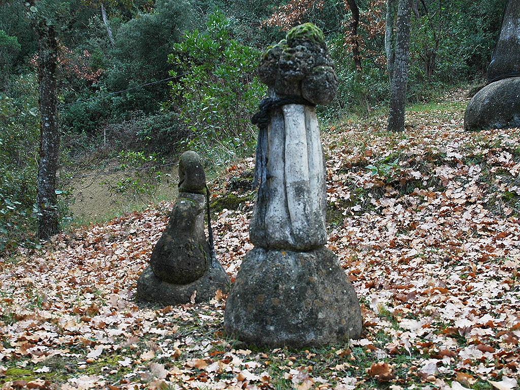 Lligament vegetal & Lligada [2]