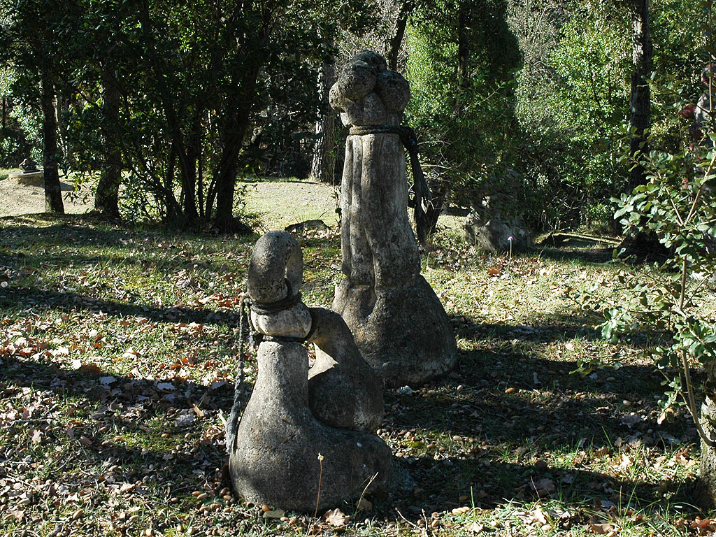 Lligament vegetal & Lligada [5]