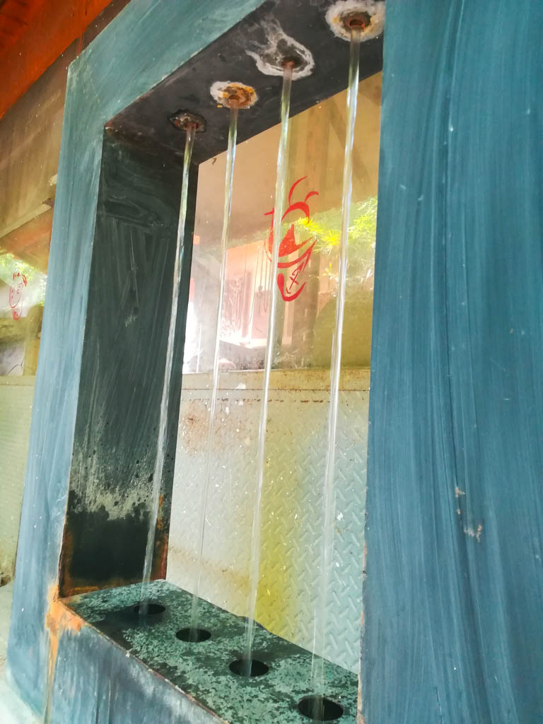 Font per la independència [5]