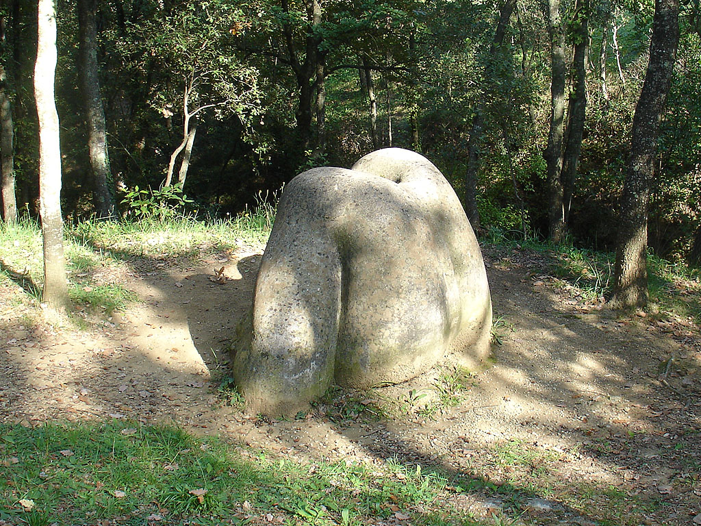 Descobriment del cos [3]