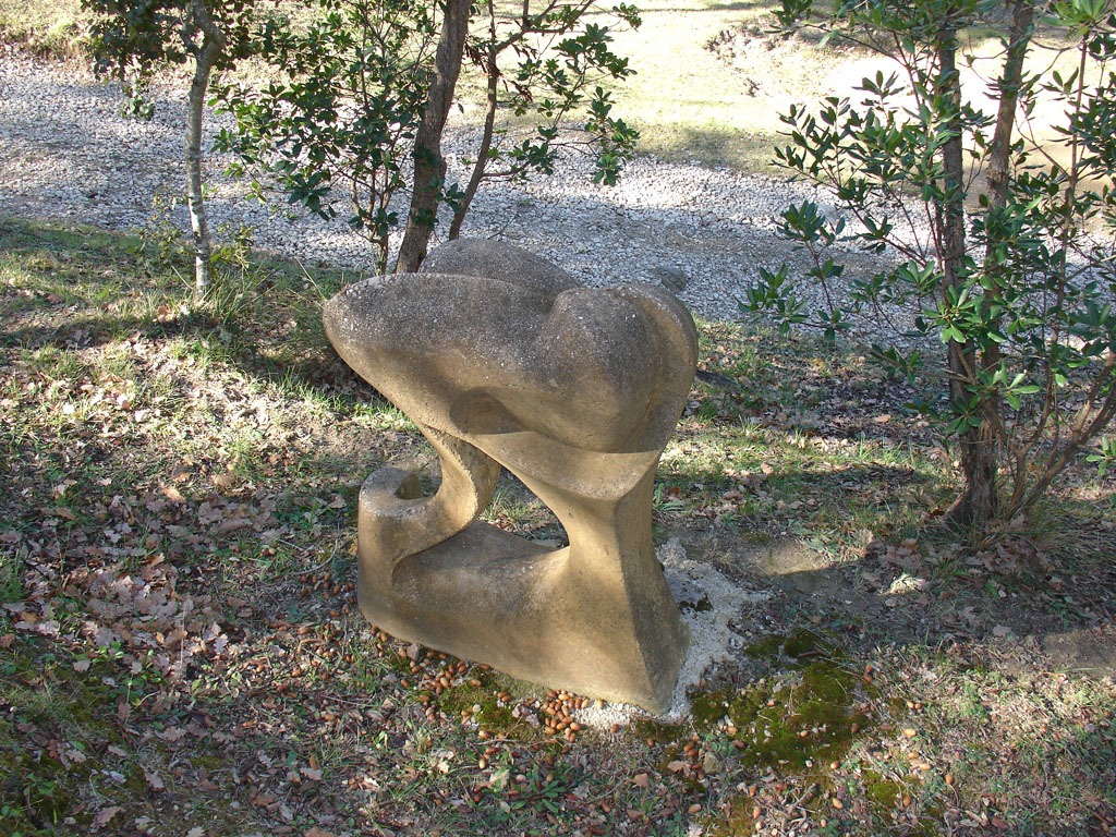 El somni estintolat 1 [1]