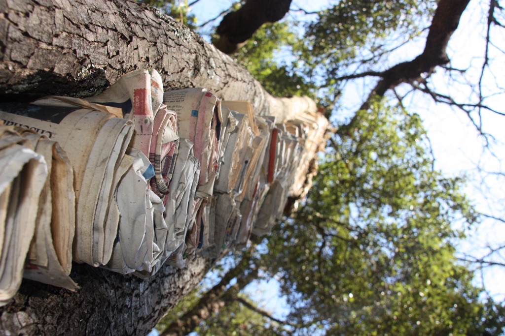 La plaça del saber [10]