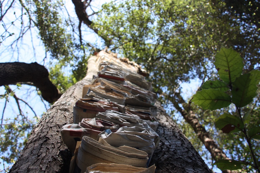 La plaça del saber [11]