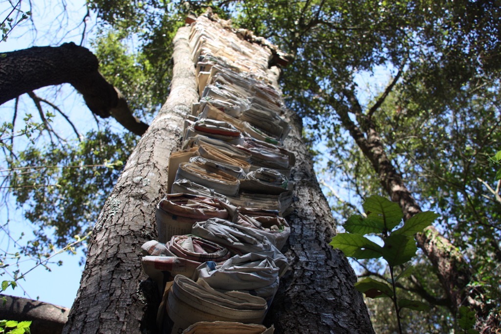 La plaça del saber [12]