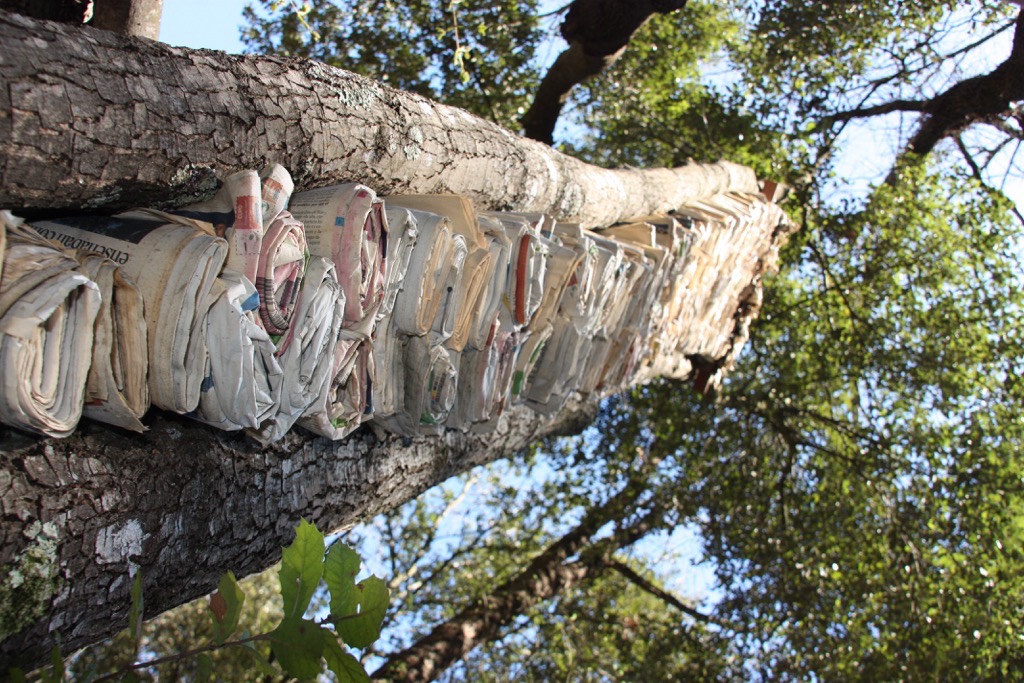 La plaça del saber [13]