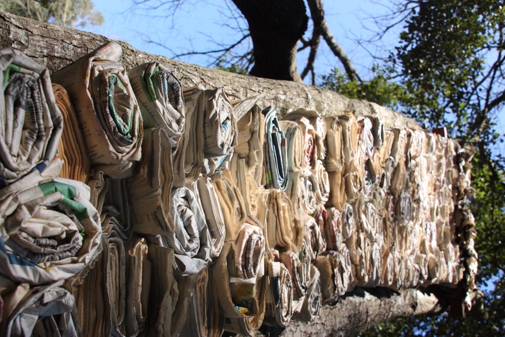 La plaça del saber [14]