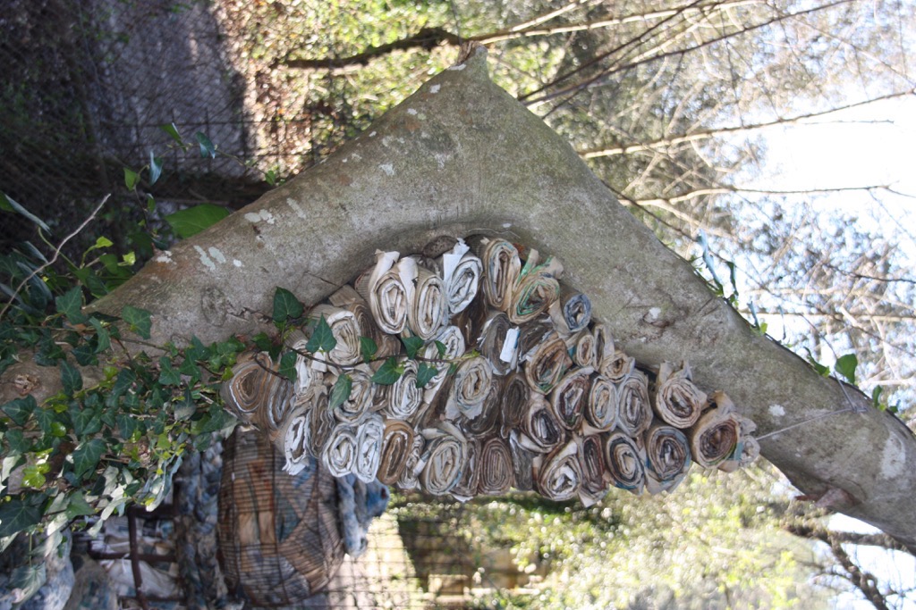 La plaça del saber [17]