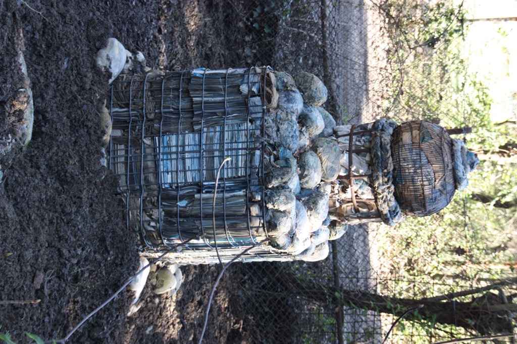 La plaça del saber [6]