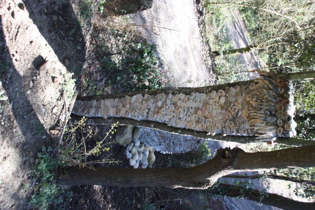 La plaça del saber [8]