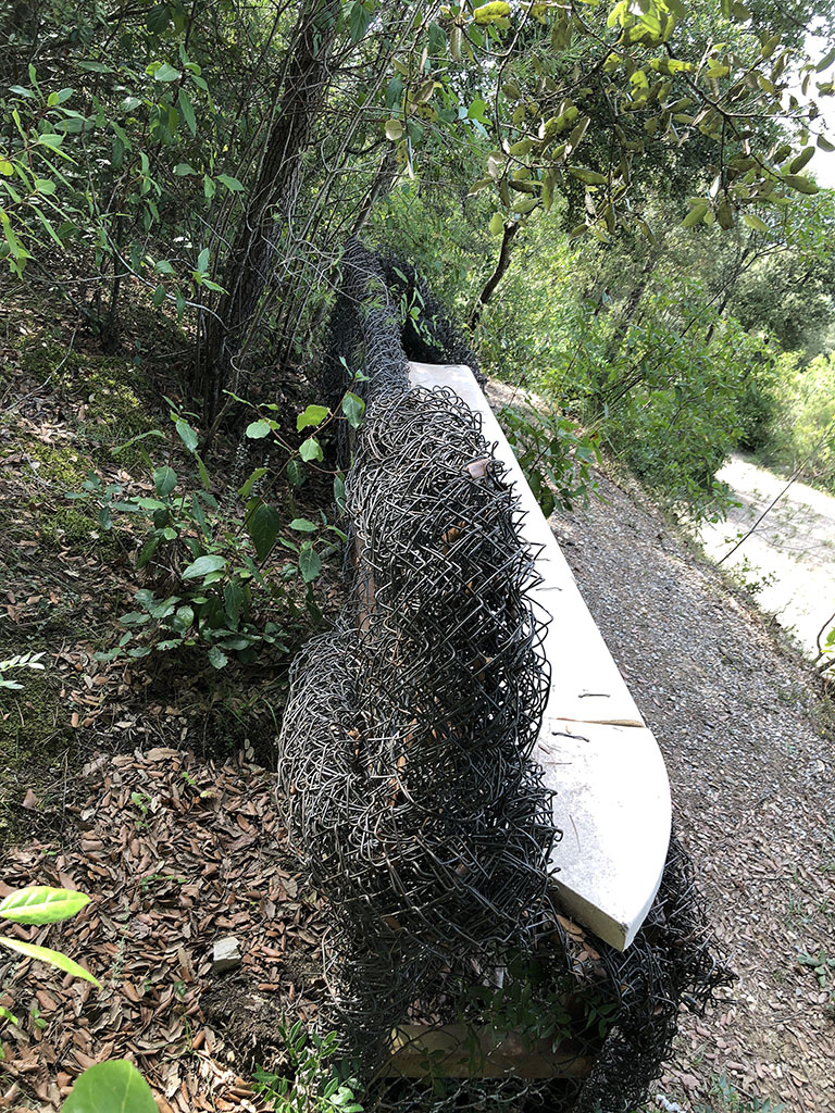 El banc d’en toyo ito [5]