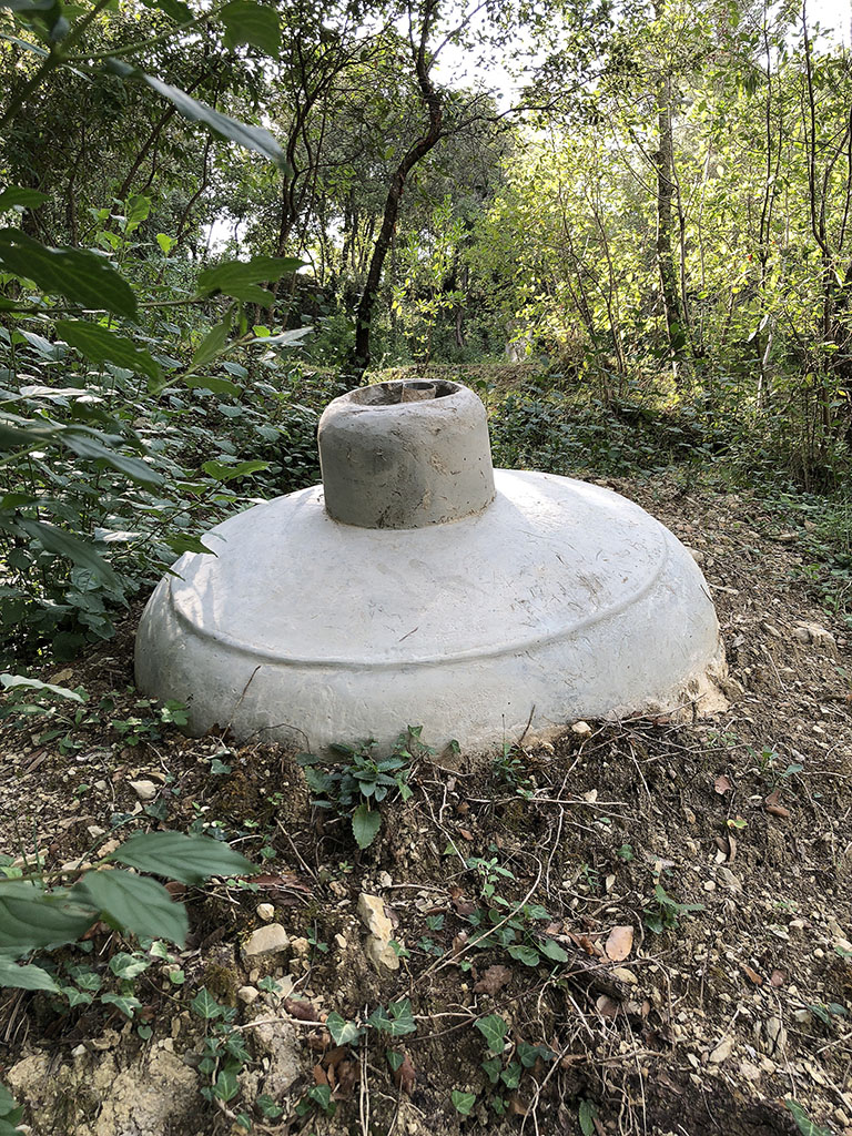El pit de la vida [4]