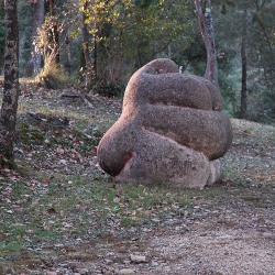 La font estroncada (Dona cangur núm. 2)