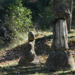Lligament vegetal & Lligada