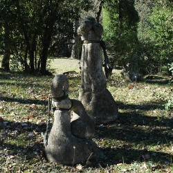 Lligament vegetal & Lligada [5]