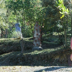 Matèria rebel·lada [1]