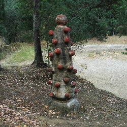 Matèria rebel·lada