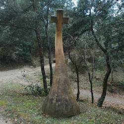 Creu orgànica [3]