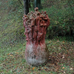 Matollada de creus [2]
