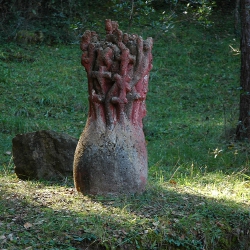 Matollada de creus