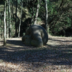 Descobriment del cos [4]