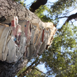 La plaça del saber [10]