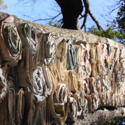 La plaça del saber [14]