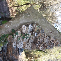 La plaça del saber [17]