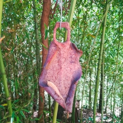 Aixades de pagès[1]