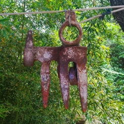 Aixades de pagès[5]