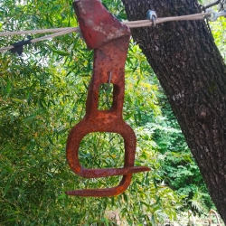 Aixades de pagès[6]