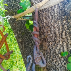 Aixades de pagès[8]