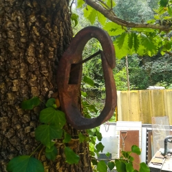 Aixades de pagès[9]