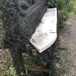 El banc d’en toyo ito